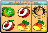 Big Kahuna Pokies at allslots casino
